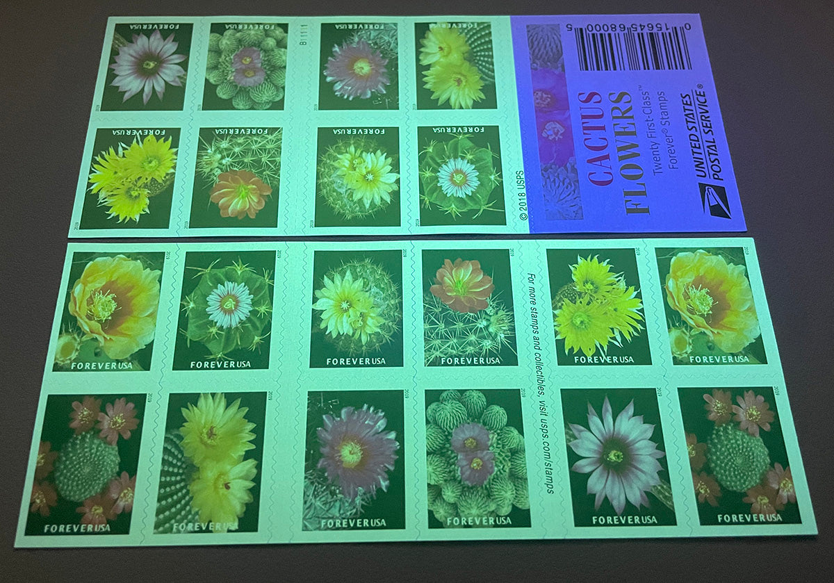 2019 Cactus Flowers Forever Postage Stamps