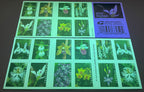2020 Wild Orchids Forever Postage Stamps