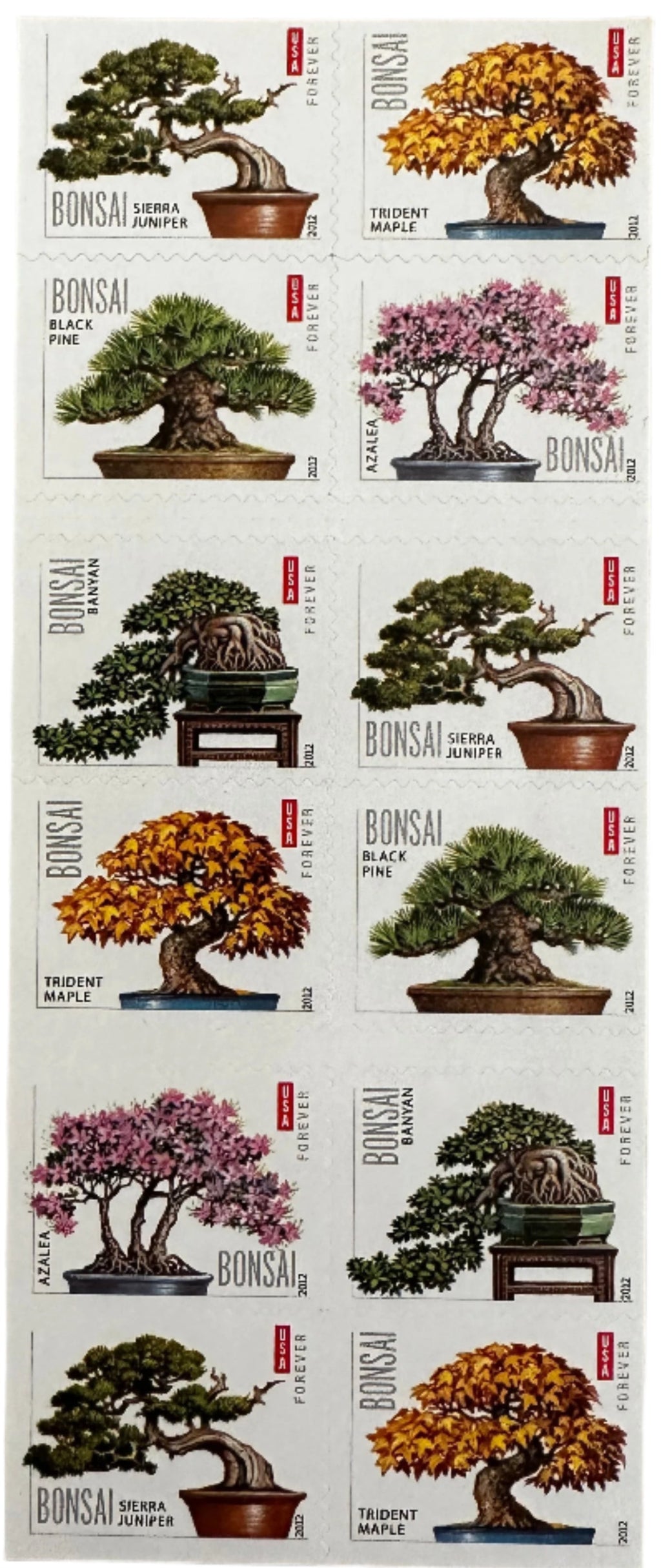 2021 Bonsai Tree Forever Postage Stamps