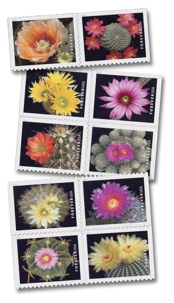 2019 Cactus Flowers Forever Postage Stamps
