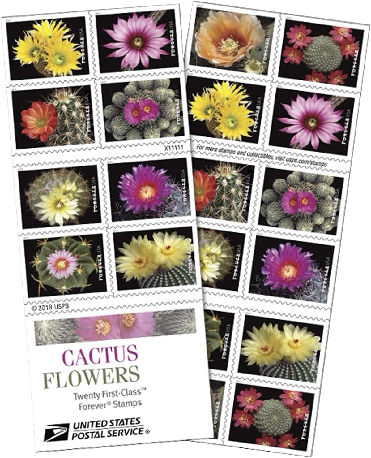 2019 Cactus Flowers Forever Postage Stamps