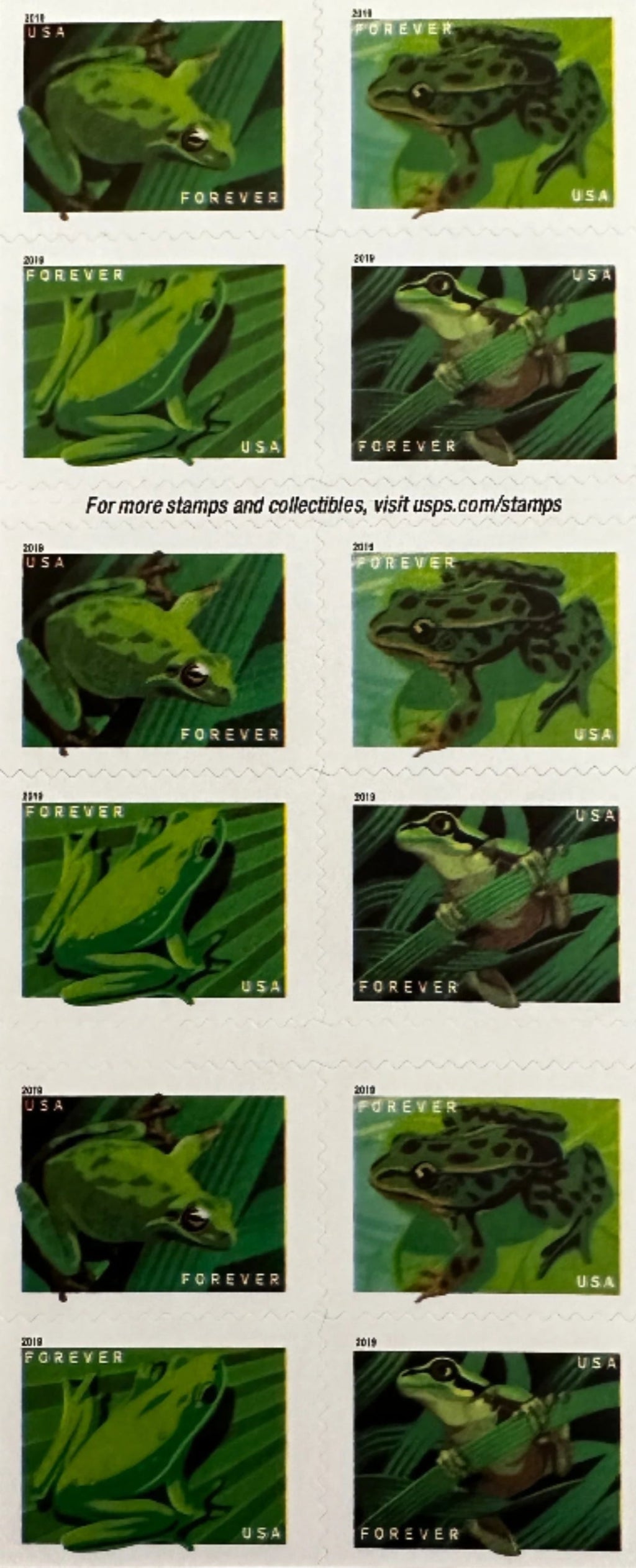 2019 Frogs Forever Postage Stamps