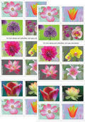 2021 Garden Beauty Forever Postage Stamps