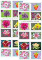 2021 Garden Beauty Forever Postage Stamps