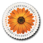 2022 Global African Daisy International Forever Postage Stamps