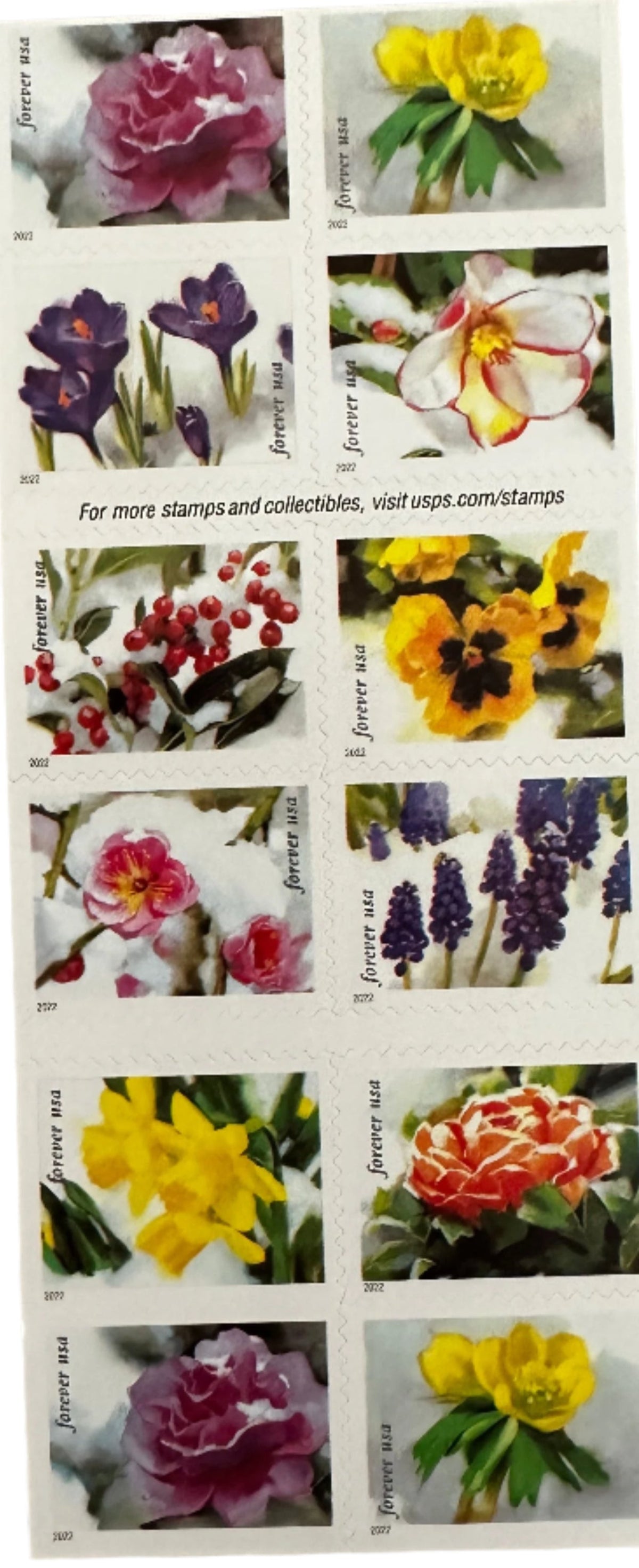 2022 Snowy Beauty Bloom Forever Postage Stamps