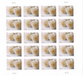2011 Wedding White Rose Forever Postage Stamps